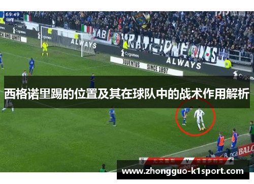 西格诺里踢的位置及其在球队中的战术作用解析