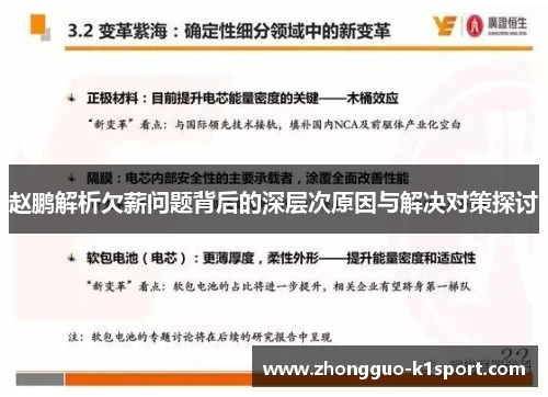 赵鹏解析欠薪问题背后的深层次原因与解决对策探讨