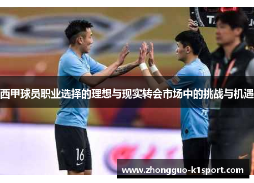 西甲球员职业选择的理想与现实转会市场中的挑战与机遇
